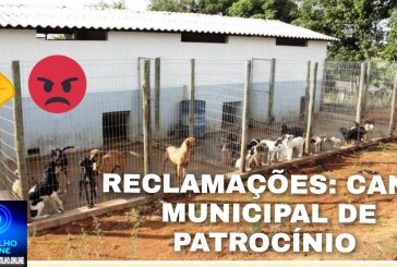 👉😡📢👎🩺⚰🕯😢🐶🦮🐕🐩Canil municipal. Sem solução. Cabide de empregos
