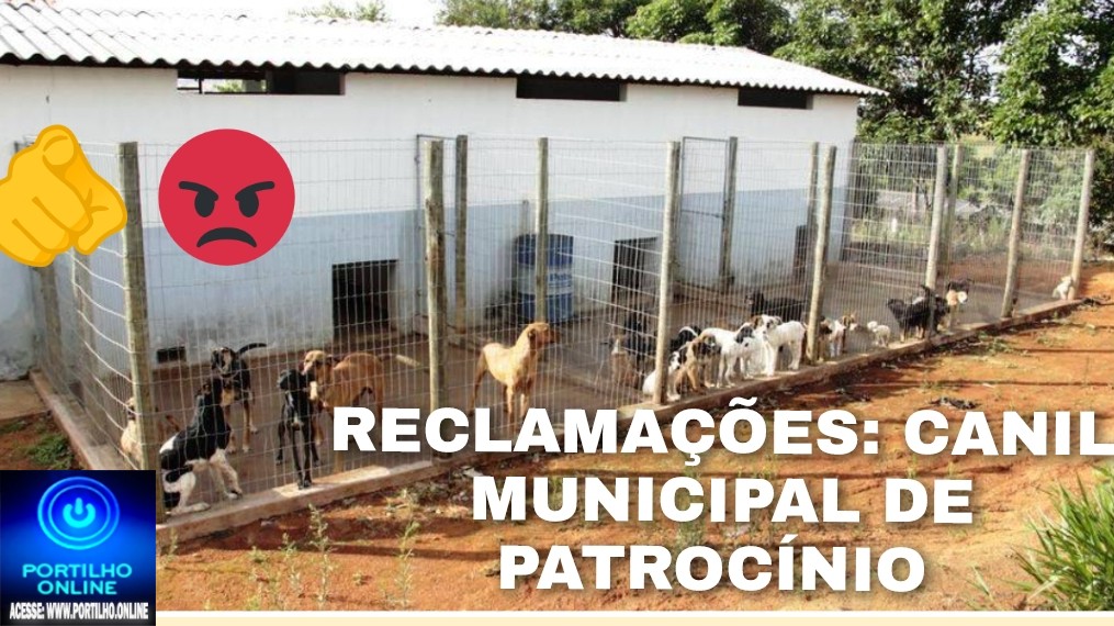 👉😡📢👎🩺⚰🕯😢🐶🦮🐕🐩Canil municipal. Sem solução. Cabide de empregos