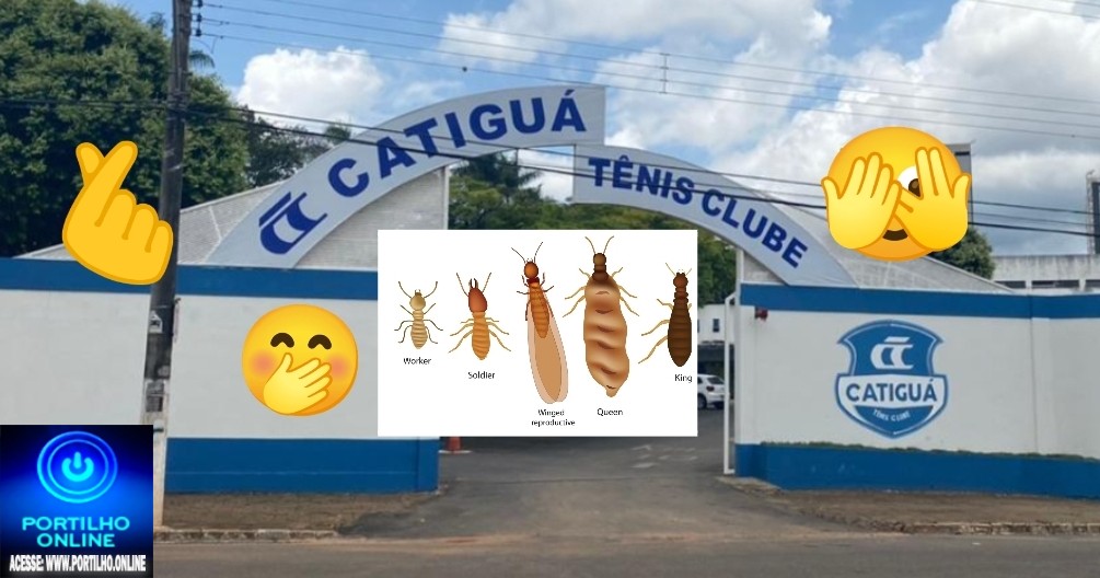 👉📢🤔😱🫵Catiguá tênis 👟 🎾 Clube: “Portilho,  o Clube está jogadas às traças, ou melhor cupins está comendo tudo ” 🫣🤭🫢🤔👻👹👺