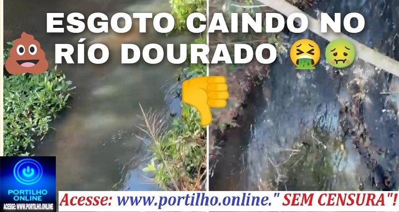 📢🤮🤢🚨👉🔍🧐🔎😱👉Rio Dourados sendo poluído pelo esgoto. Opa boa tarde Portilho.