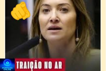 👉👎🫵😡👊🇧🇷🗽Deputada Federal Greyce Elias vota a favor de PECs impopulares da PEC da bandidagem e da ANISTIA.