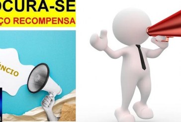 👉📢🔍🤔🔎🤝✍💸💴💰Seu animalzinho desapareceu? Nota de Esclarecimento – Sobre anúncios de desaparecimento