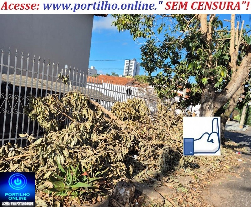 👉😡🫵📢🚨⚖️🚔🚧🌳🌲🌴Podas de árvores geram reclamações e indignação