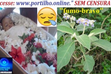 👉🧐Bebezinho morreu afogado! 👀📢🔍🕵🔎😱⚰🕯😪”Iraí de Minas: ‘Fumo-bravo’ intoxica família, e bebezinho morre afogado em piscina residencial”