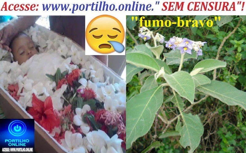 👉🧐Bebezinho morreu afogado! 👀📢🔍🕵🔎😱⚰🕯😪”Iraí de Minas: ‘Fumo-bravo’ intoxica família, e bebezinho morre afogado em piscina residencial”