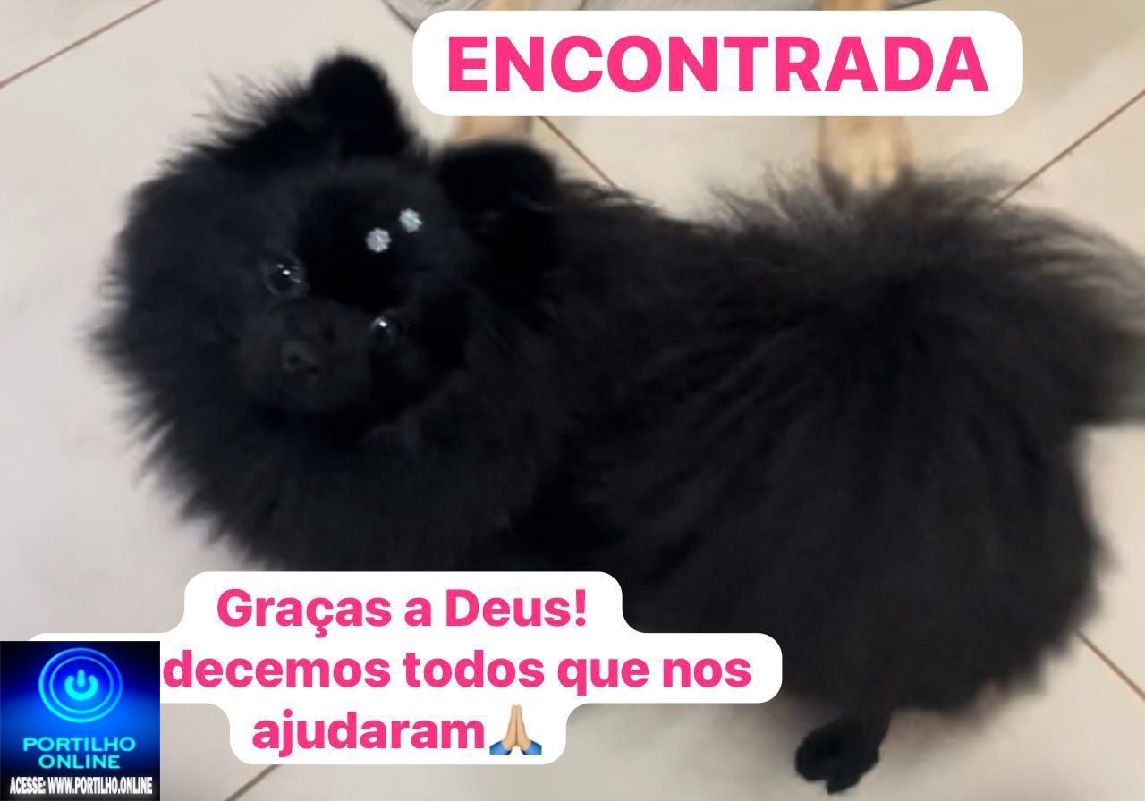 👉😱🙏🦮🐩🐈‍⬛Encontrada! Cadelinha Luna foi encontrada 🫵👏🙏🦮