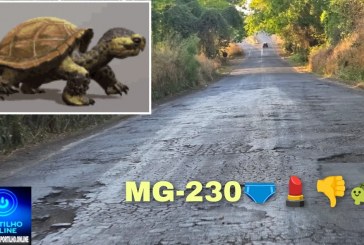 🫵😡🐢🚧👎💄🩲🚥🚫MG-230: os paliativos “ band aid ” continuam até as primeiras chuviscos