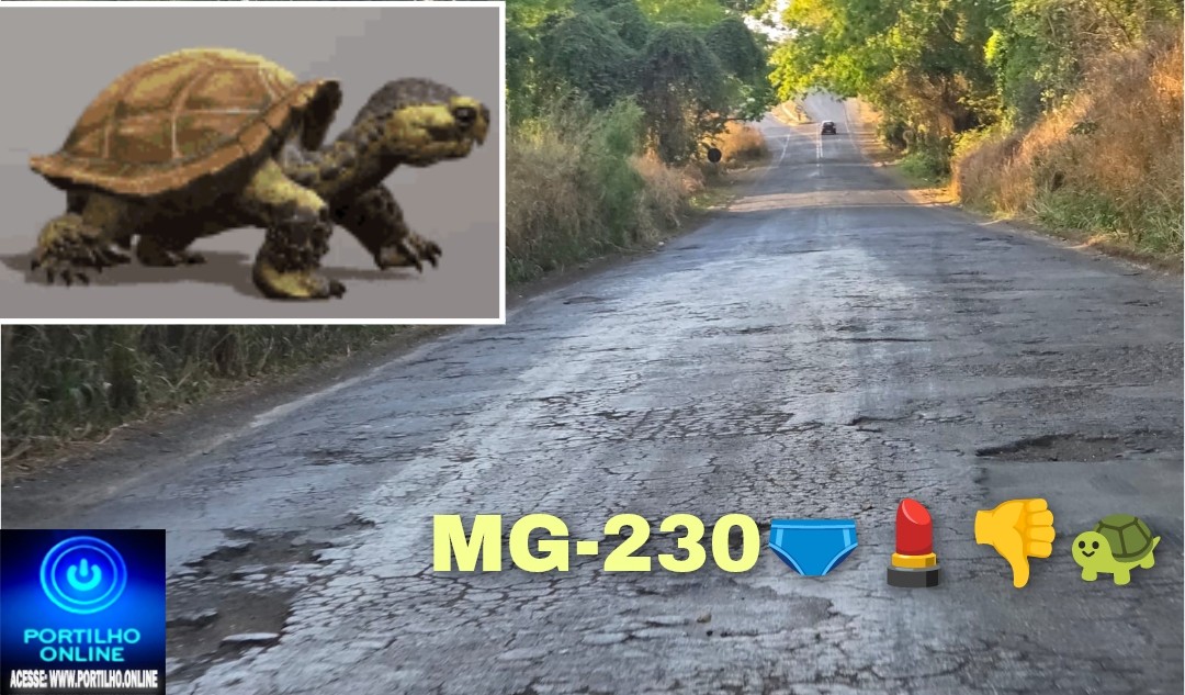 🫵😡🐢🚧👎💄🩲🚥🚫MG-230: os paliativos “ band aid ” continuam até as primeiras chuviscos