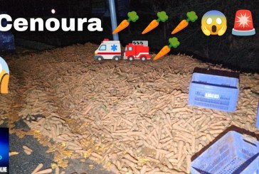 👉📢🥕🥕🥕😱🚨🚧🚑🚒🚔Toneladas de cenouras espalham-se no trevo de Romaria 🥕🥕🥕