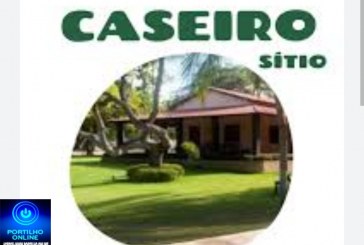 👉📢🫵🤝👏🤠🛠️⚒️Pedido de Emprego