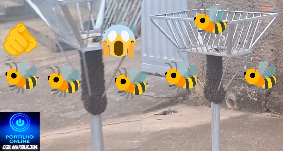 👉🐝🆘🤔🚨😱🚑🚒Enxame de abelhas assusta moradores na Rua Espanha, bairro Serra Negra 🐝🐝🐝