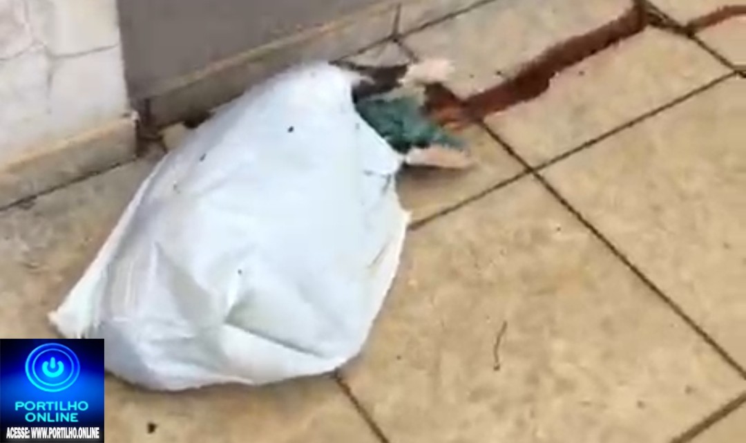 👉⚰️🕯️😥😱🫵😥Portílho! É inacreditável o que aconteceu no bairro Santo Antônio!