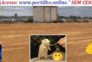 👉🤔😱🚨🏘️🏡🏠🐁🤭 Terreno do “progresso”: a finada Casemg espantou os ratos  para o futuro chegar