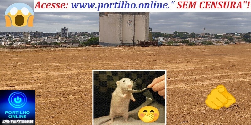 👉🤔😱🚨🏘️🏡🏠🐁🤭 Terreno do “progresso”: a finada Casemg espantou os ratos  para o futuro chegar