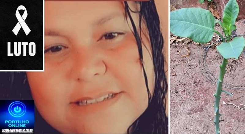 👉😱ELA MORREU 🚔🔍🕵🔎🚑🚒⚖💣⚰ Vítima da ” couve 🥬 assassina” veio a óbito
