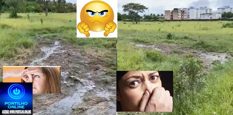 👉🤔📢🚨🔎😱👀🤢🤧🤮💩👺👿 CARNIÇA!!! ESSE ESGOTO FEDORENTO,Moradores reclamam de “carniça a céu aberto” atrás do Residencial Serra Dourada