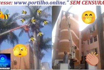 👉🤭🐝🤗👏🫵Foi mexer na caixa de abelhas 🐝 no Pronto socorro das abelhas 🐝 👍😱🐝🐝🐝🐝
