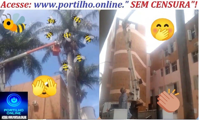 👉🤭🐝🤗👏🫵Foi mexer na caixa de abelhas 🐝 no Pronto socorro das abelhas 🐝 👍😱🐝🐝🐝🐝