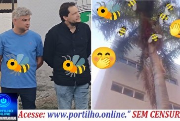 👉😱O prefeito Gustavo e Thiago está ‘ espiando as abelhas 🌴🐝🌴🐝🩺🥱📢😱🌴🌴🌴 🐝abelhas🐝 Arapuá!