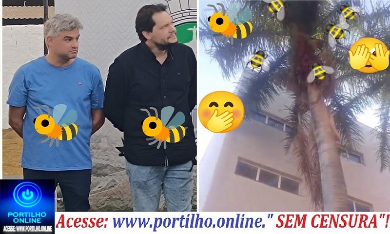 👉😱O prefeito Gustavo e Thiago está ‘ espiando as abelhas 🌴🐝🌴🐝🩺🥱📢😱🌴🌴🌴 🐝abelhas🐝 Arapuá!