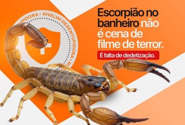 👉😱👀🦂🕷️🦂🦂🦂**⚠️ AUMENTA O ALERTA PARA ESCORPIÕES NESTA ÉPOCA DO ANO**