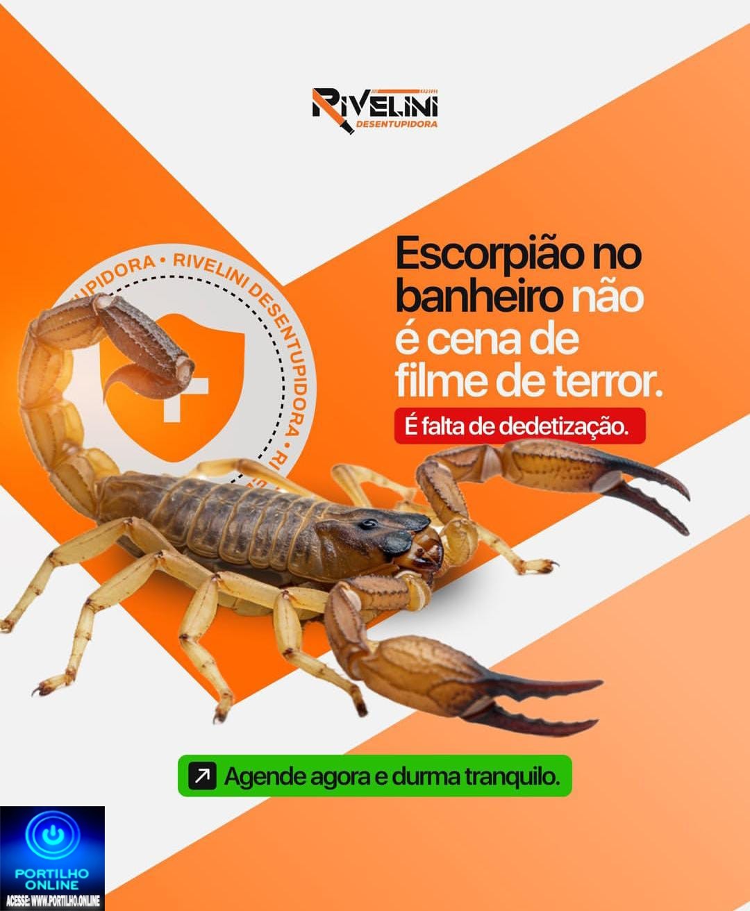 👉😱👀🦂🕷️🦂🦂🦂**⚠️ AUMENTA O ALERTA PARA ESCORPIÕES NESTA ÉPOCA DO ANO**