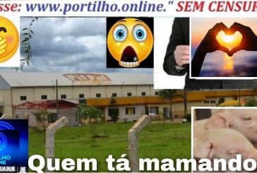 👉😱🕵️‍♀️👉😱Pif Paf ” Love”👀💞👄👀♀️🩷🔍🧐😮🧐😳👀👁🐷🐽PIF PAF !!!! Portílho, na Pif Paf quero relatar e os maridos e esposas tem que ficar alerta.