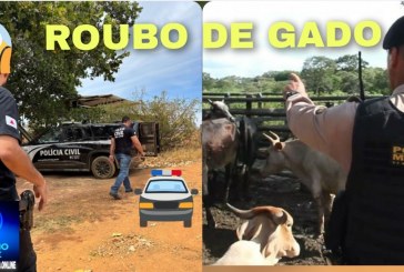 👉😱🚓🚔👀🚨😡🐂🐮Oi portilho, Gostaria de denunciar um crime que anda acontecendo muito na região de Patrocinio, roubo de gado