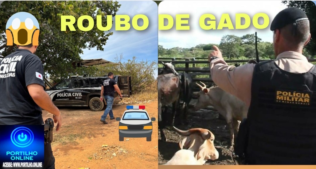 👉😱🚓🚔👀🚨😡🐂🐮Oi portilho, Gostaria de denunciar um crime que anda acontecendo muito na região de Patrocinio, roubo de gado