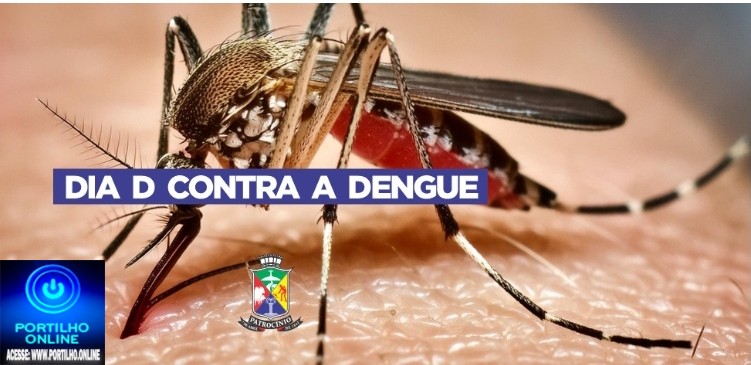 👉👍👏🤝 Notícias 📰🗞️ da prefeitura. 🦟🦟🦟🦟DIA D contra a Dengue mobiliza bairros de Patrocínio em grande ação de prevenção