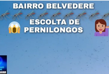 🦟👉🫵😡🦟🦟🦟🦟 Belvedere vive “escolta de pernilongos” em noite histórica de ataques aéreos