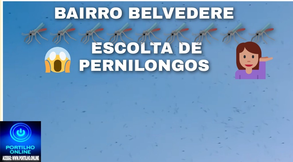 🦟👉🫵😡🦟🦟🦟🦟 Belvedere vive “escolta de pernilongos” em noite histórica de ataques aéreos