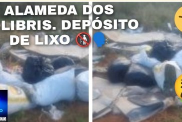 👉😡📢🗣️🚯👎🫵🤮🤢Boa noite Portílho, infelizmente, nós, não suportamos maís a lixaiada