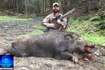 👉🗣🐖🚨🚓🚔Caça  de javali🐗🐗  é liberada em todo Minas Gerais; veja novas regras