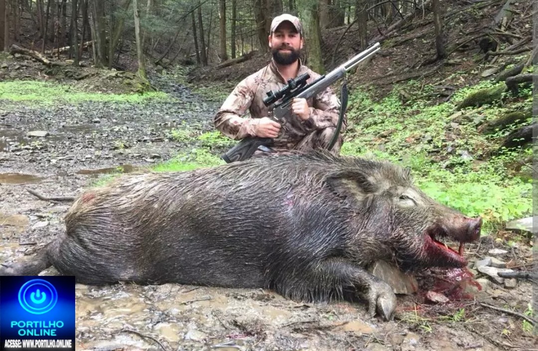 👉🗣🐖🚨🚓🚔Caça de javali🐗🐗 é liberada em todo Minas Gerais; veja novas regras