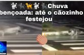 👉🙌🎬🙏🌧️👏🐕🦮🐩🐈‍⬛Chuva abençoada: até o cãozinho festejou