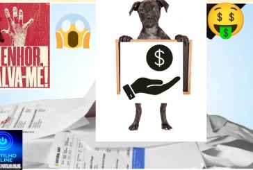 😱😨🤑👀💸💵💰 Qual família está em recuperação judicial? Os Queiroz, os Elias ou os Brasileiros?