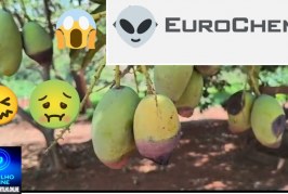 📢👉🤮🤧👽☠️🤢🩺🚓🙌🫵🤮😱😠Bom dia Portilho tudo bem?nós não estamos suportando o mal cheiro de enxofre com ácido sulfúrico 