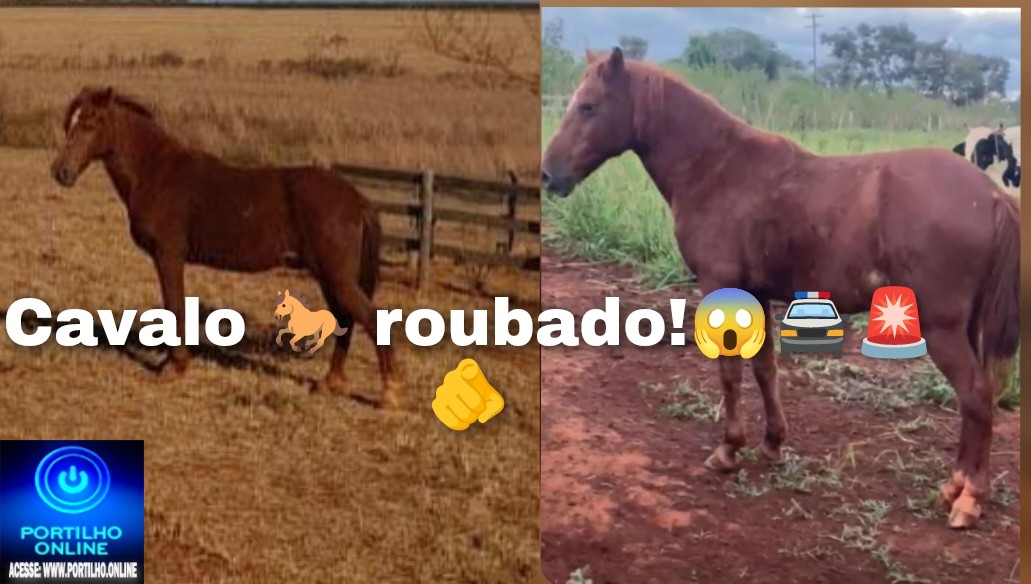 👉🚔😱🐴🚨🫵Cavalo  roubado!🫵: Eai Portilho blz. Portilho Pode quem pegou o animal pra ele se quiser ir lá e devolver