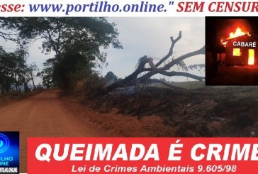 👉🧐🚨🔍🕵🔎🔥🔥🚨🚒Bom dia Portilho, me chamo Wagner Nunes  Sou proprietário de uma fazenda na região dos Borges.