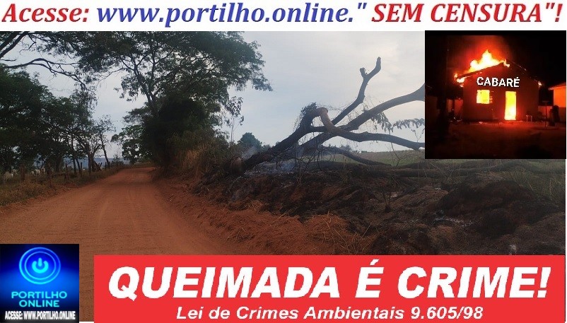 👉🧐🚨🔍🕵🔎🔥🔥🚨🚒Bom dia Portilho, me chamo Wagner Nunes  Sou proprietário de uma fazenda na região dos Borges.
