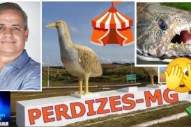 👉😱🚔🚨🐀🔎👀🔍🕵🐭🧐Perdizes clama: onde estão o GAECO, a Polícia Federal e o Ministério Público?clama: onde estão o GAECO, a Polícia Federal e o Ministério Público?