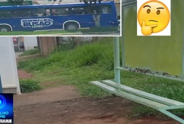 🫵  Busão Livre: e os pontos 🪡 de ônibus vão receber melhorias? 🫣