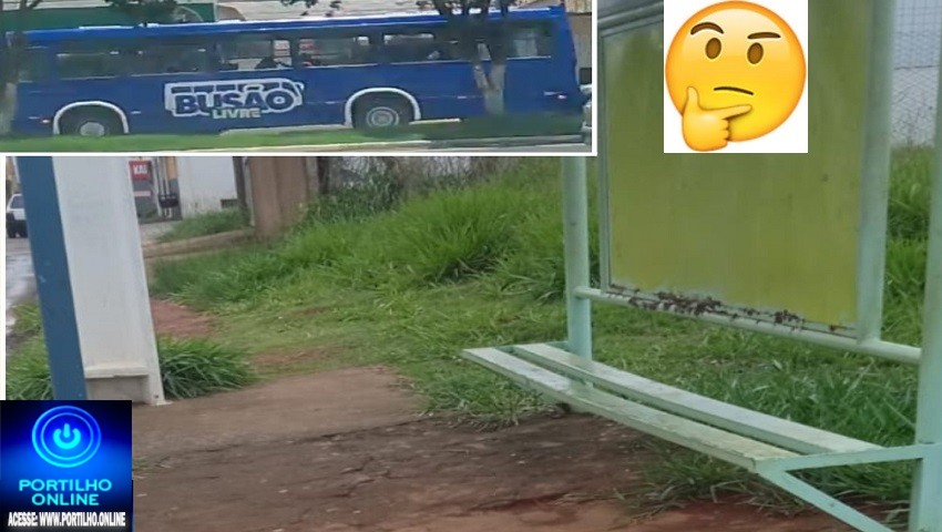 🫵 Busão Livre: e os pontos 🪡 de ônibus vão receber melhorias? 🫣