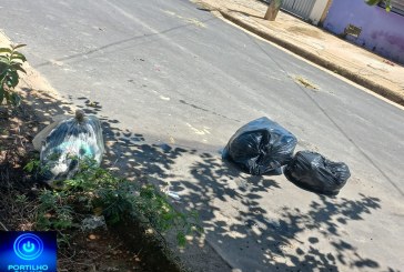 👉🤔🫵🚧😠🤮🤢Portilho, o gari junto é o caminhão não passou e deixo aqui esparramado