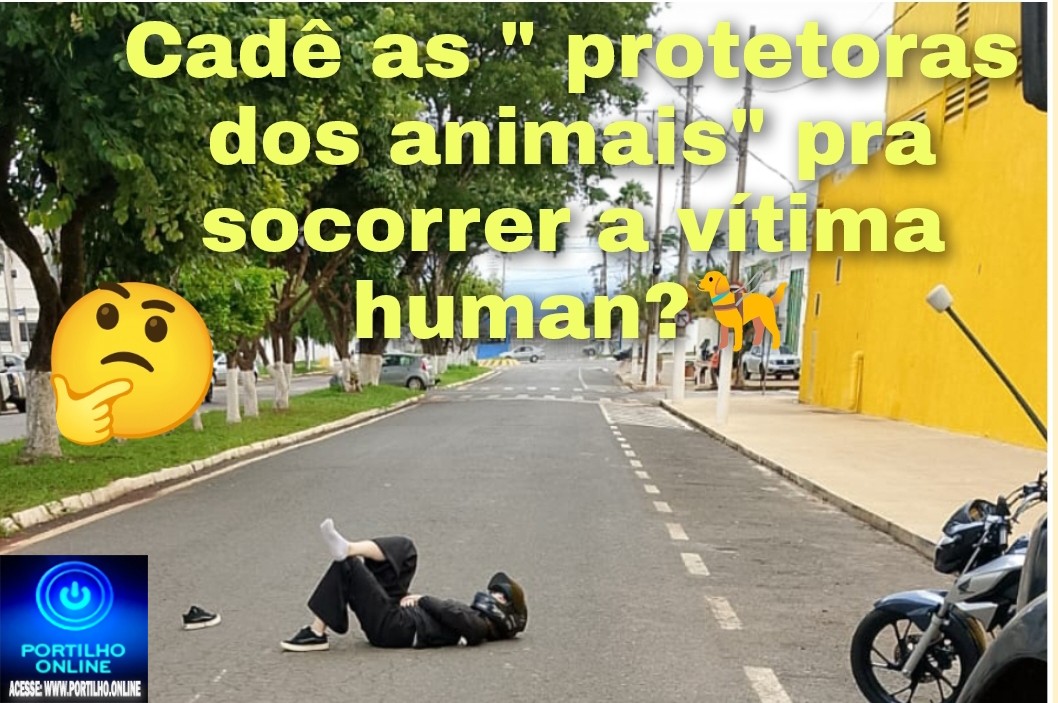 👉🤔😡👎🐕‍🦺🐕🦮🚑🚒🚧Cachorro avança em motociclista e provoca acidente, Cadê as tão faladas “cuidadoras dos animais”?! 🥱