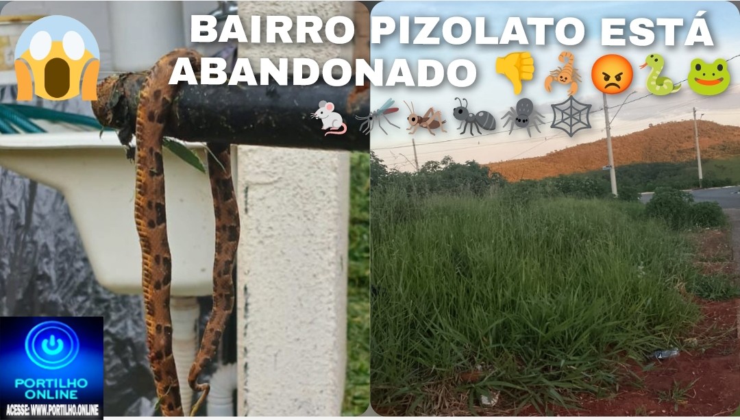 👉😱😡👎🐍🐸🐁🦟🦗🕷️🕸️📢Bom dia Portilho. Queria fazer uma reclamação de forma anônima
