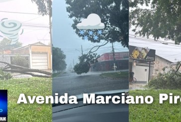 👉♨️🍃🌬️☂️🌧️💥⚡🌳🚧 Avenida Marciano Pires registra queda de árvores e galhos após temporal