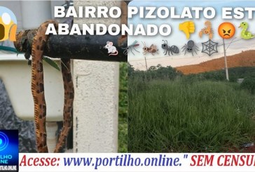 👉😱😡👎🐍🐸🐁🦟🦗🕷️🕸️📢Bom dia Portilho. Queria fazer uma reclamação de forma anônima