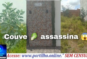 👉🥬😱🚨👎🚧🕯⚰Bom dia Portilho, olha o tamanho dos pés da falsa 🥬 😱 aqui no bairro Jardim Alvorada